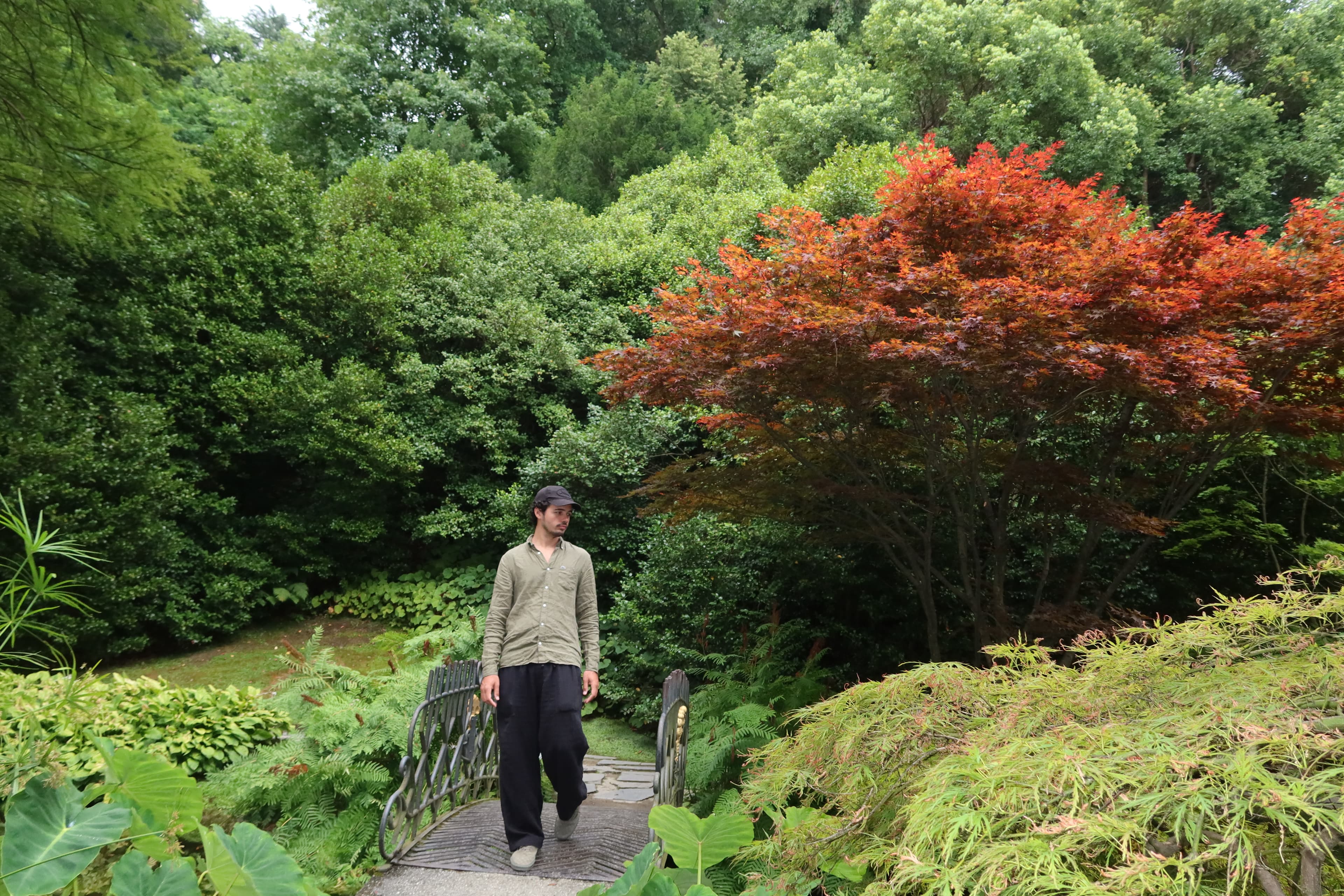 Lake Como IMG_5377.jpg