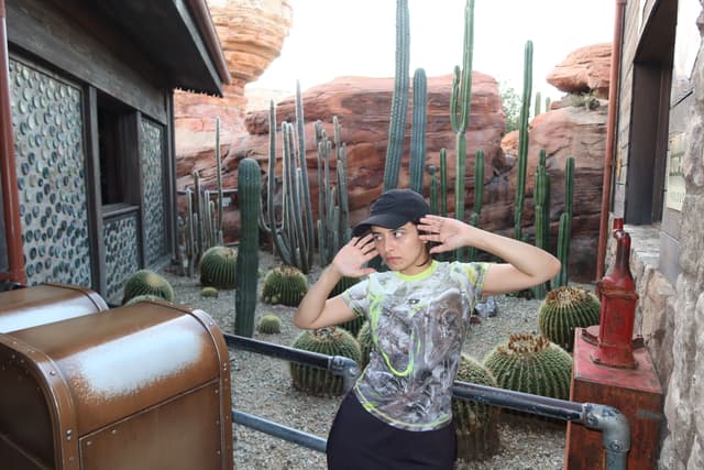 Los Ángeles IMG_0230.jpg