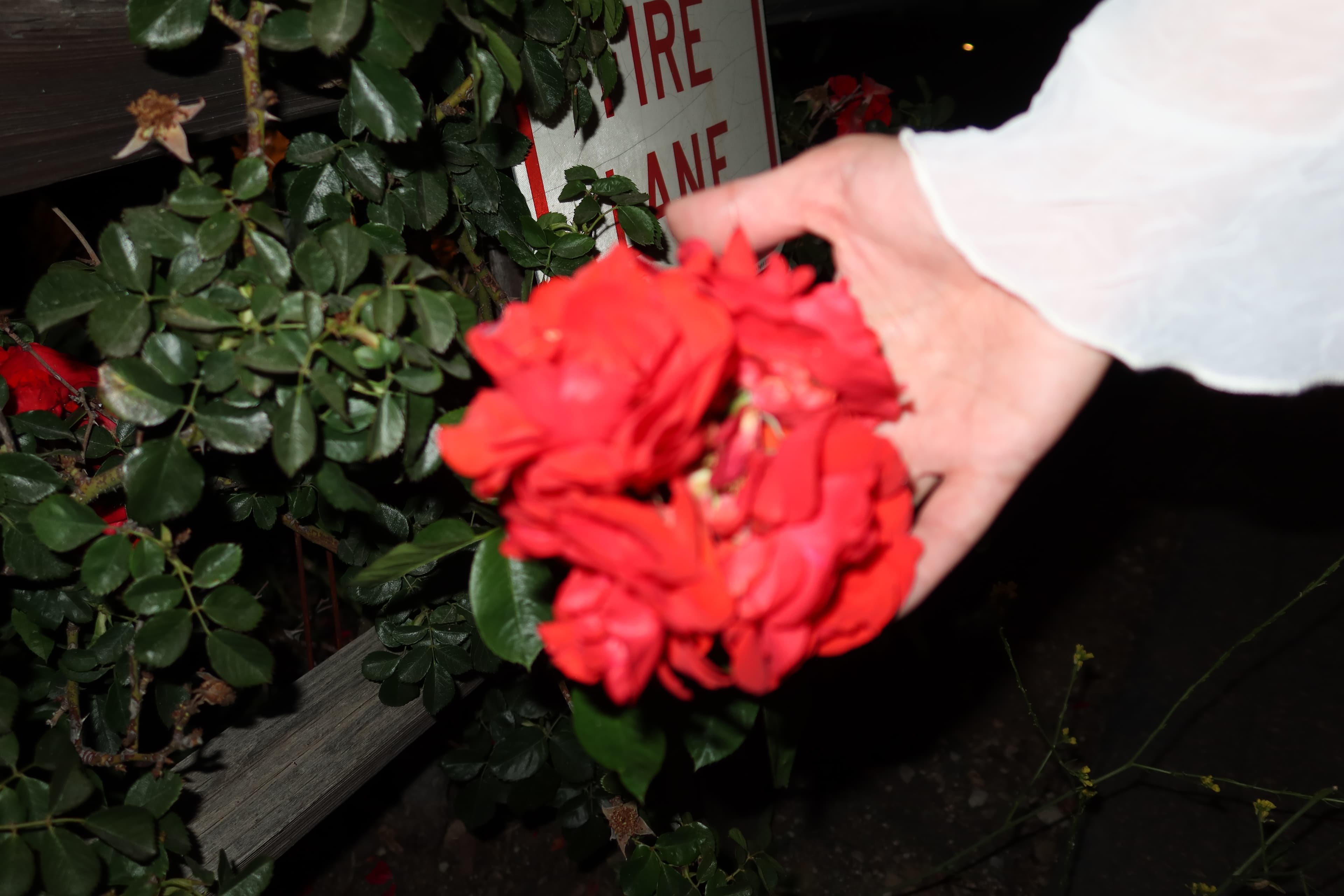 Los Ángeles IMG_0308.jpg