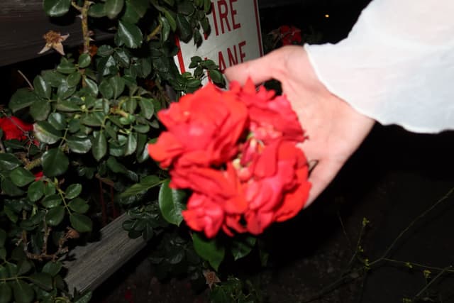 Los Ángeles IMG_0308.jpg