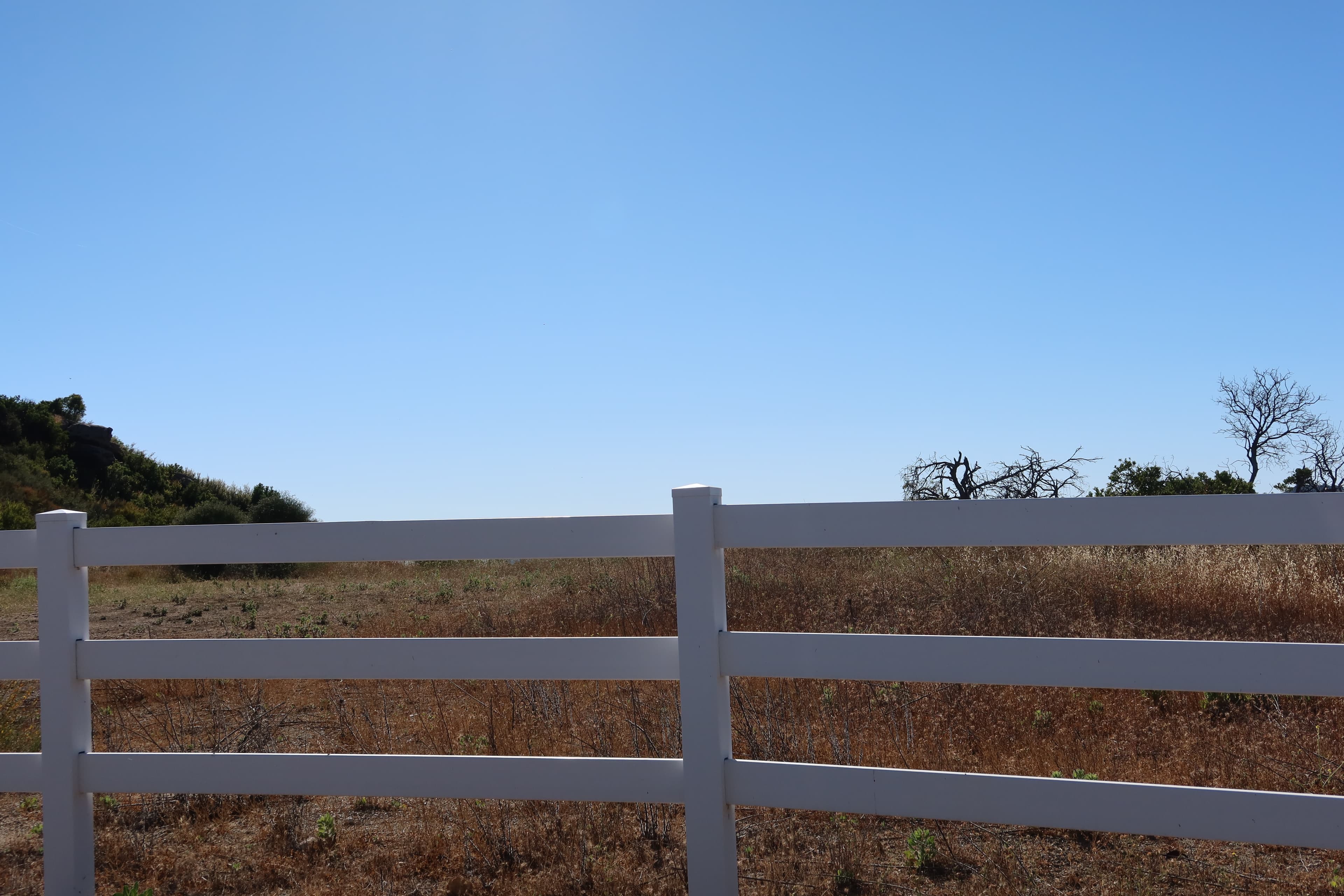 Los Ángeles IMG_1375.jpg