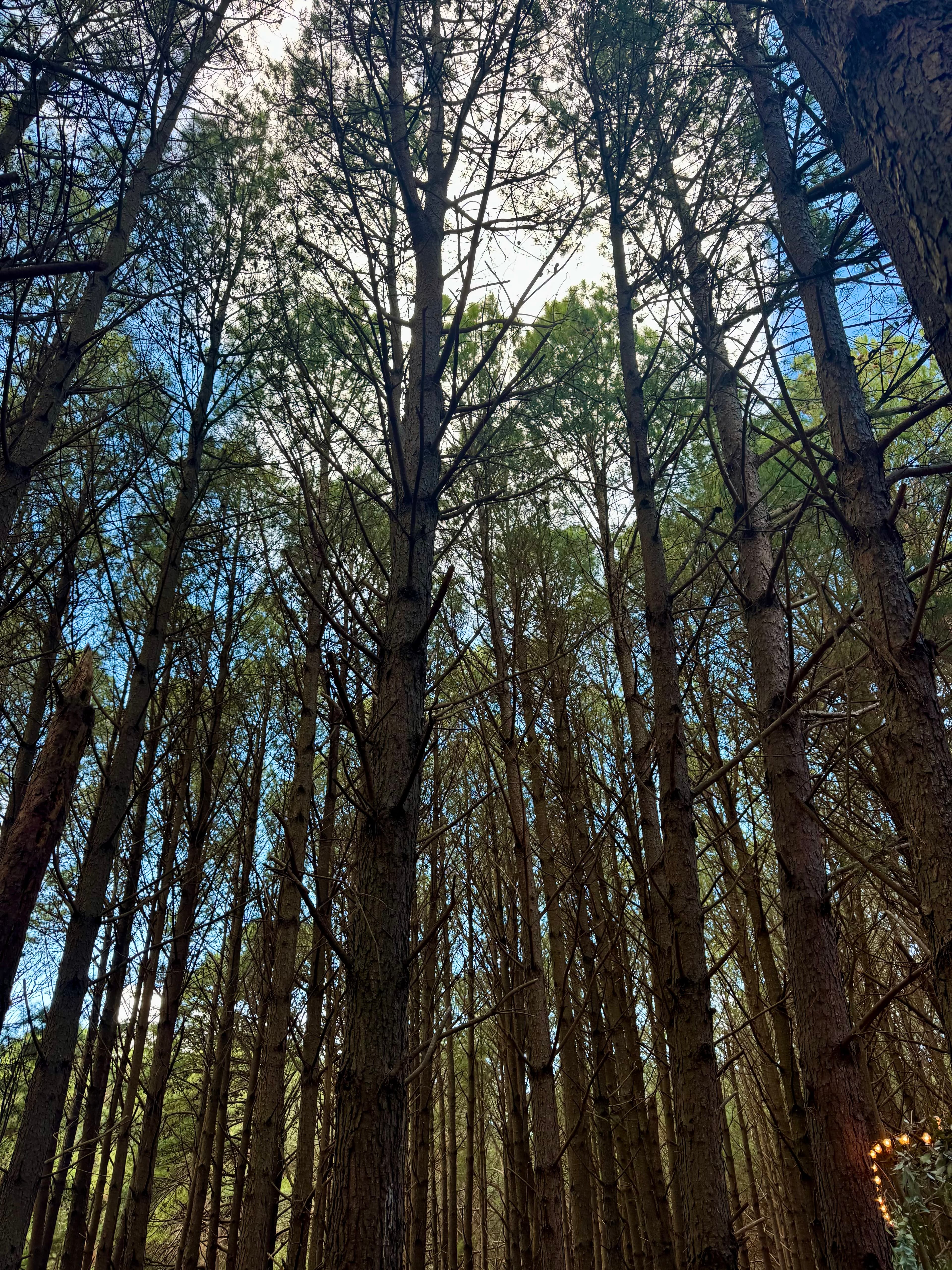 Punta del Este IMG_0639.jpg