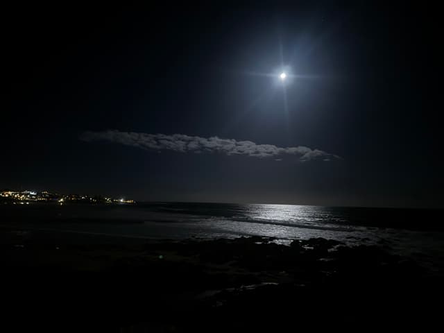 Punta del Este IMG_0997.jpg