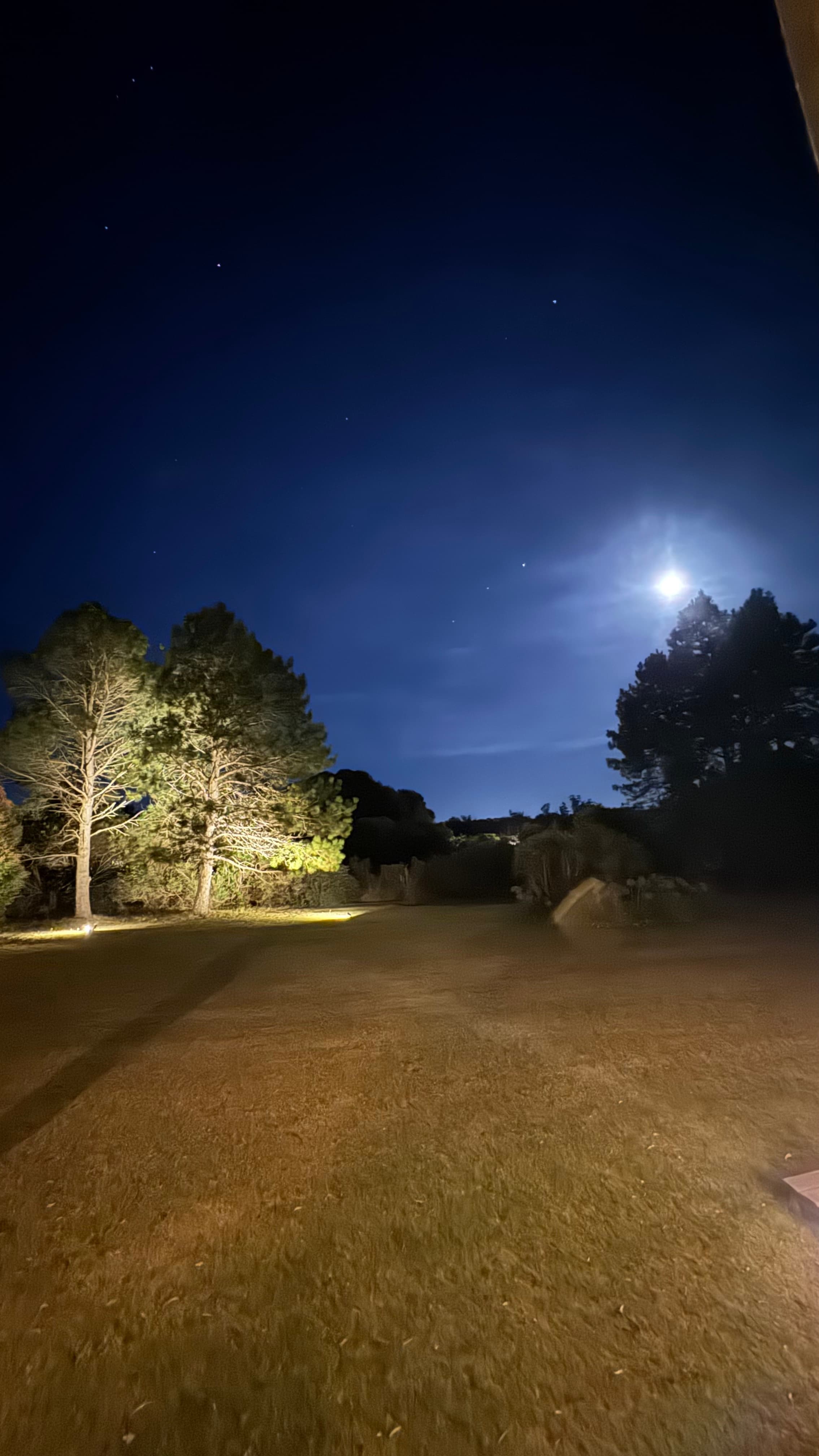 Punta del Este IMG_6431.jpg