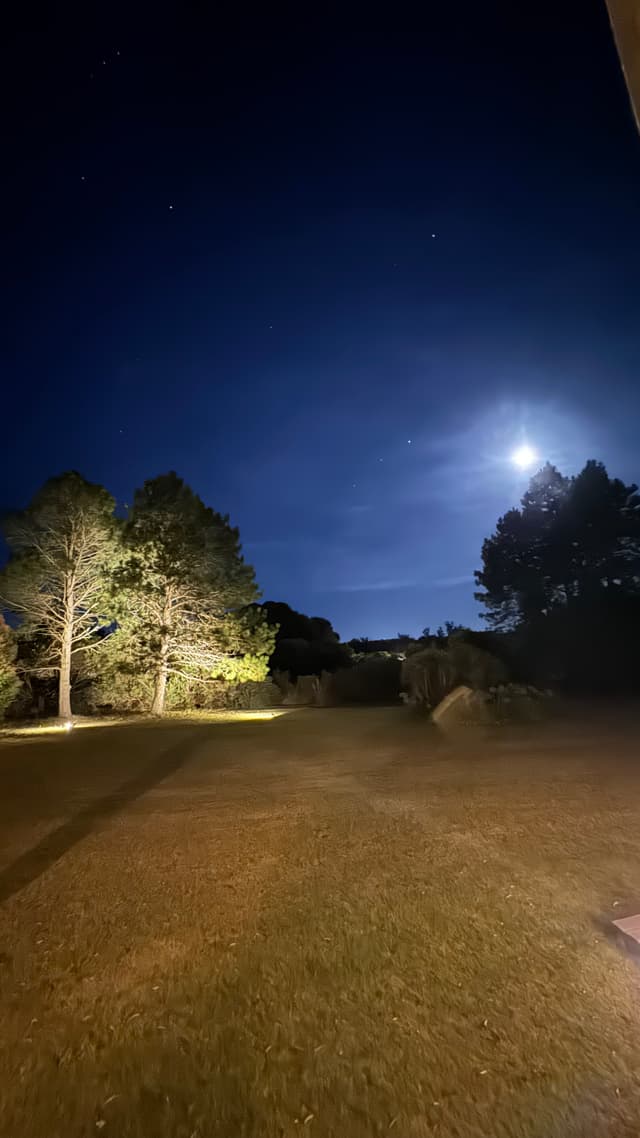 Punta del Este IMG_6431.jpg