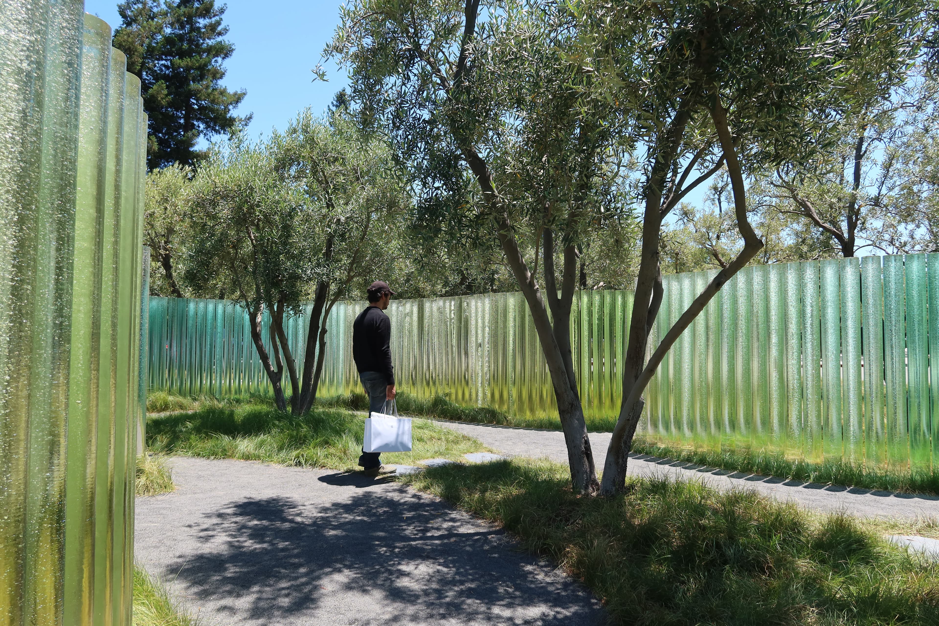 San Francisco IMG_0729.jpg