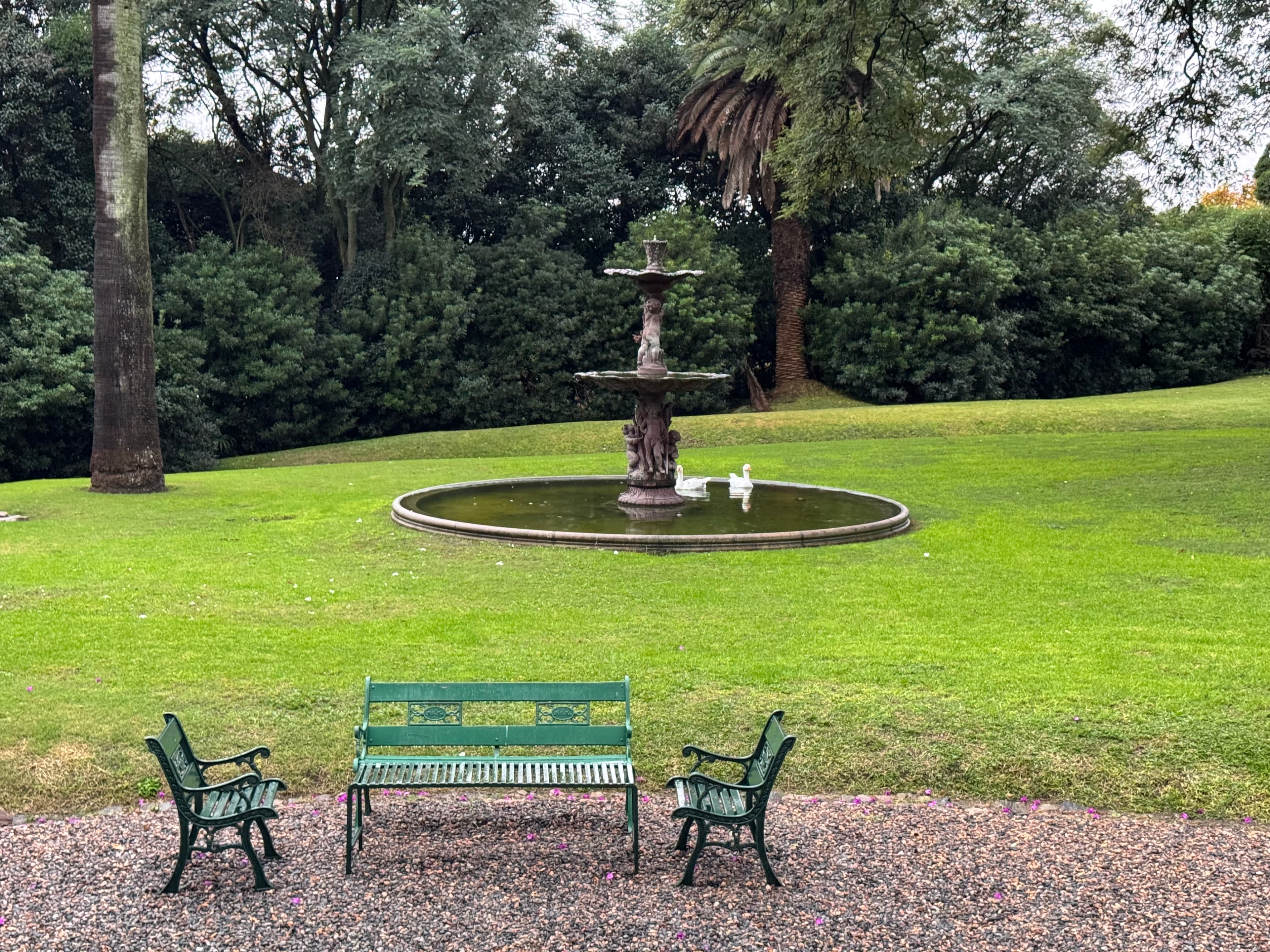 Sin clasificar IMG_0263.jpg