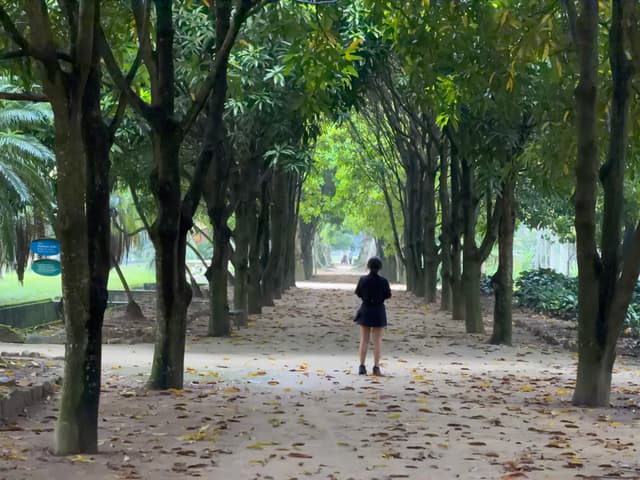 Rio de Janeiro IMG_2233.jpg